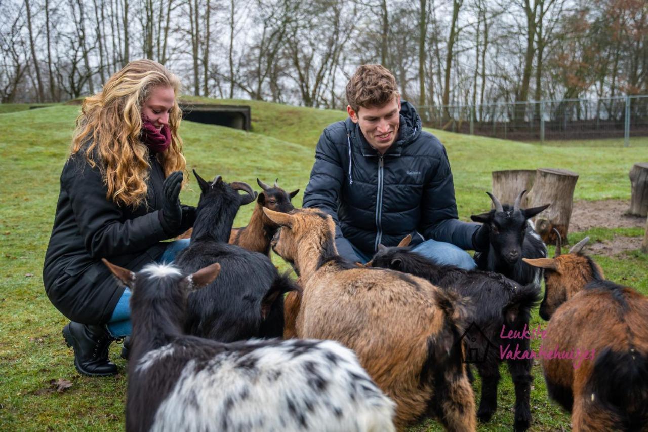 Het Familie Boshuisje - Vakantiewoning Op Prachtig Park Met Veel Faciliteiten Inc Ligbad Gramsbergen Eksteriør bilde