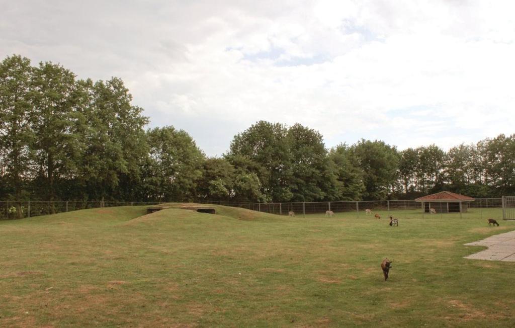 Het Familie Boshuisje - Vakantiewoning Op Prachtig Park Met Veel Faciliteiten Inc Ligbad Gramsbergen Eksteriør bilde